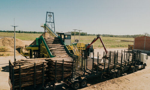 DJI_0004 DJI_0004