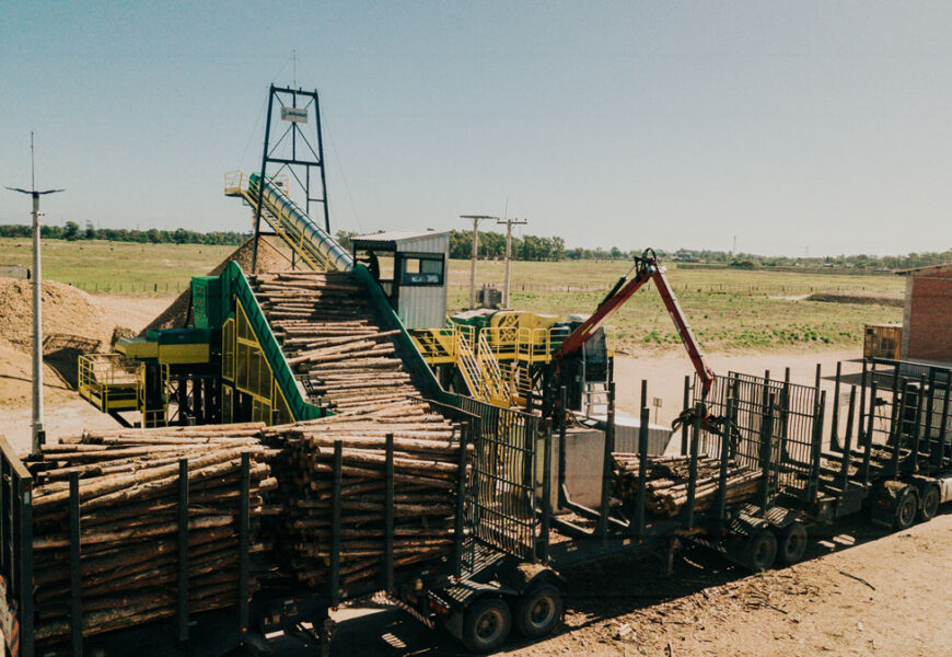 DJI_0004 DJI_0004