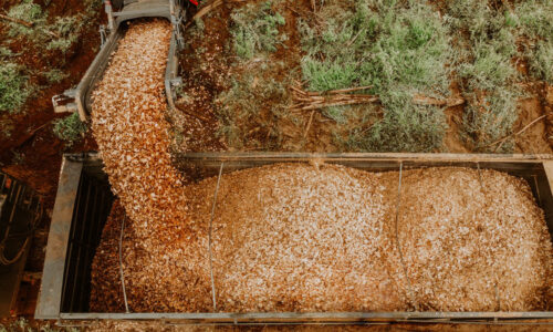 DJI_0267 DJI_0267